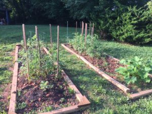 First Garden Beds