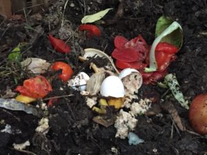 Compost